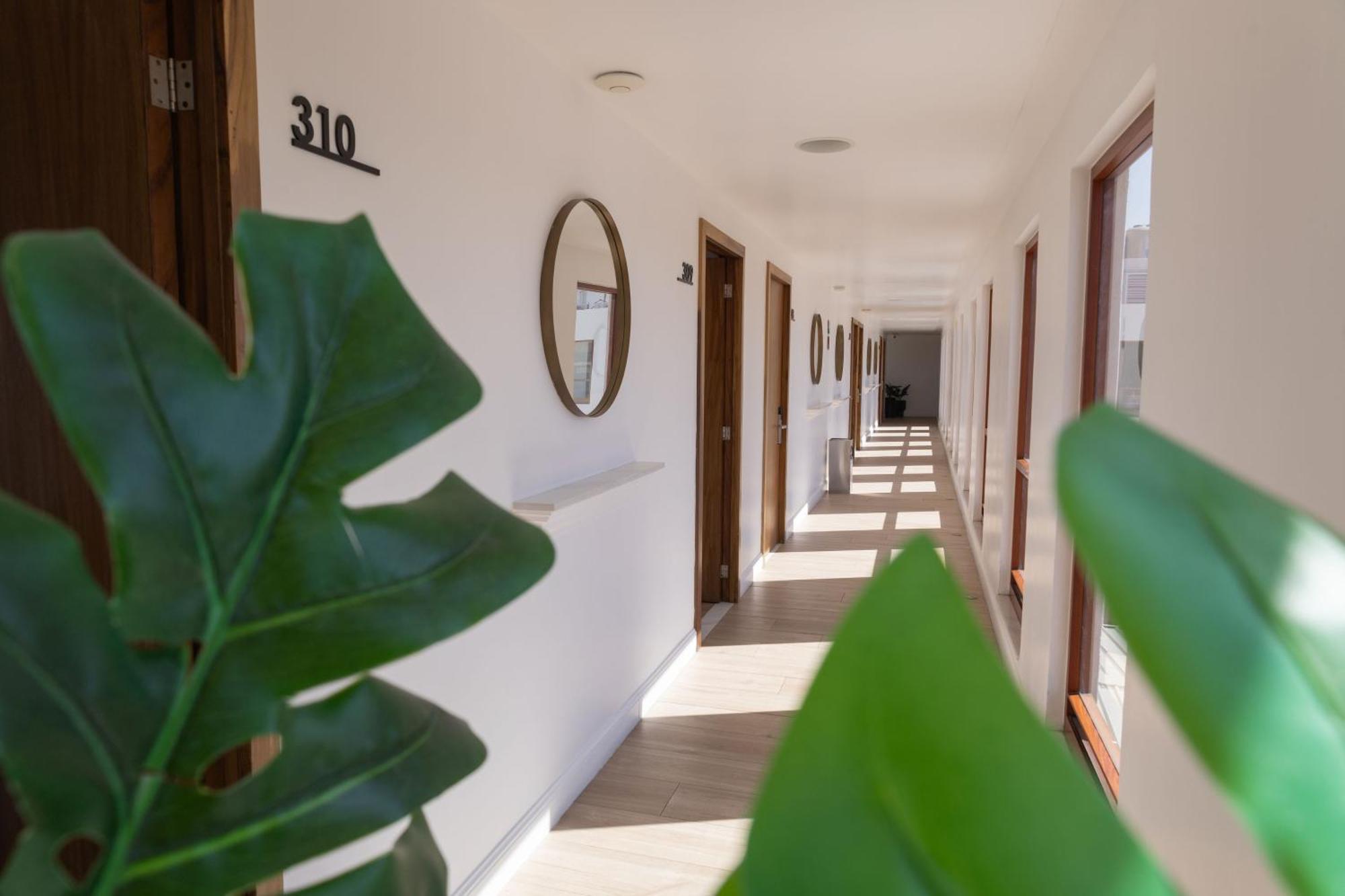 Six Hotel Guadalajara Degollado ภายนอก รูปภาพ